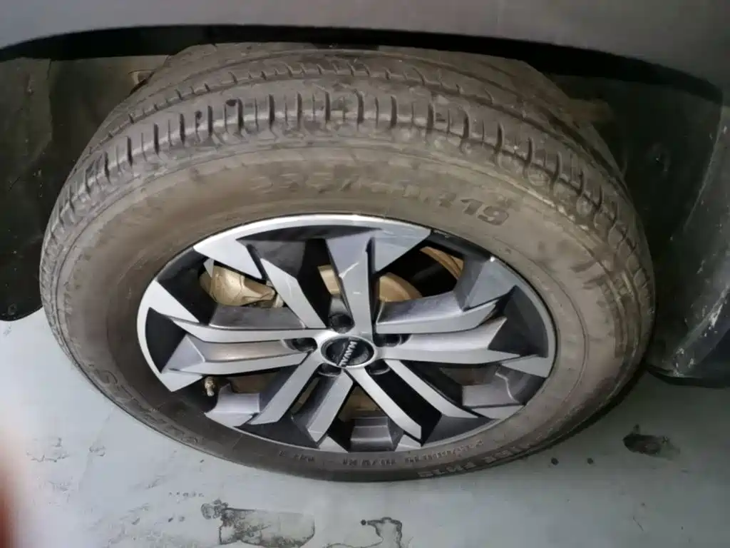 Haval Big Dog — миниатюра 23