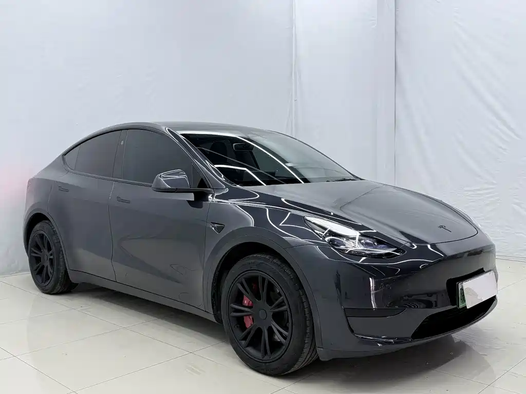 Tesla Model Y — миниатюра 3
