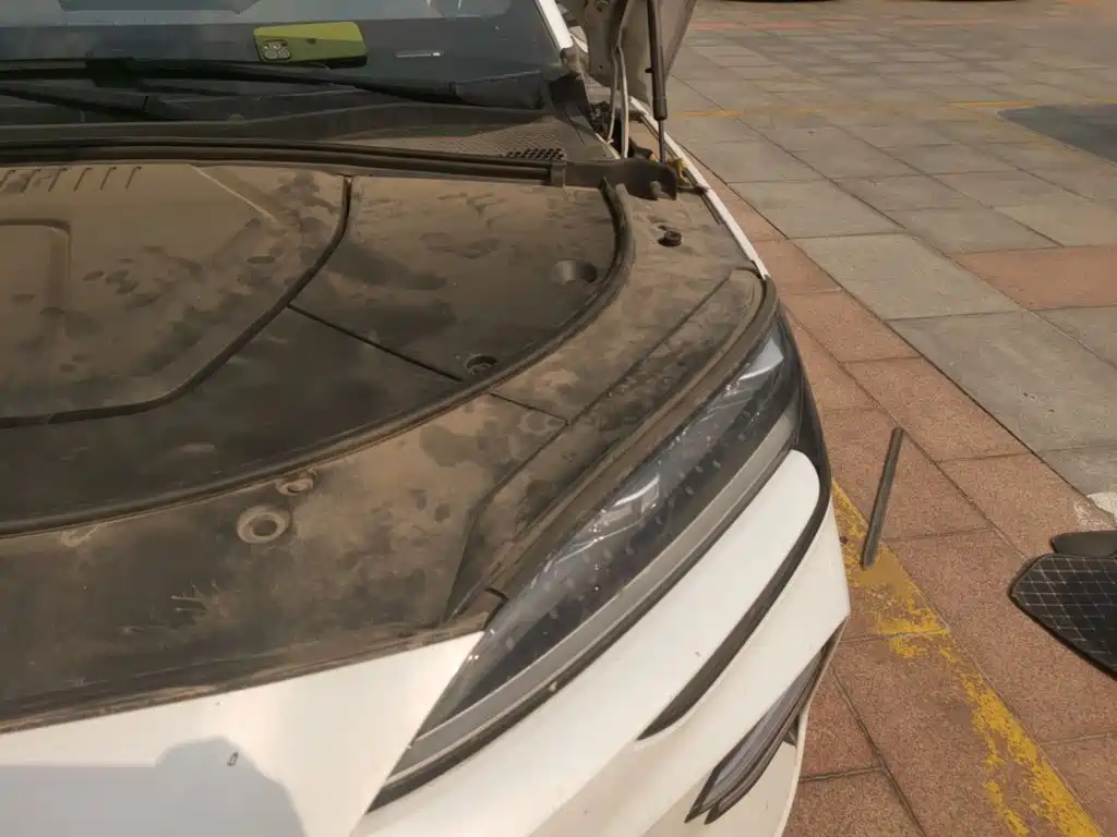 BYD PLUS New Energy — миниатюра 21