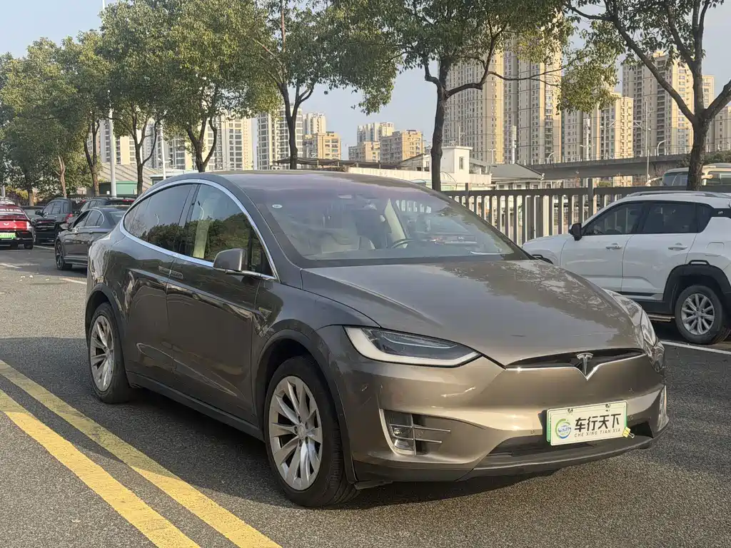 TESLA MODEL X