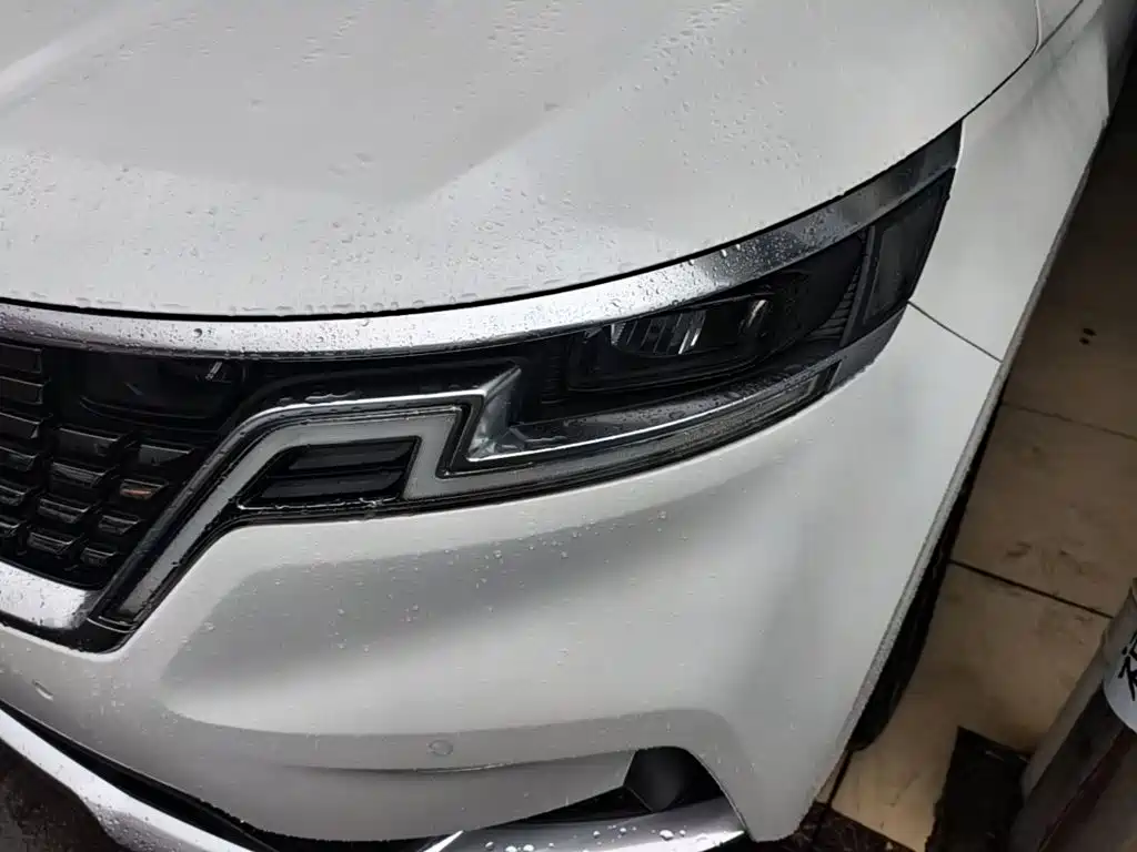 Kia Carnival — миниатюра 24