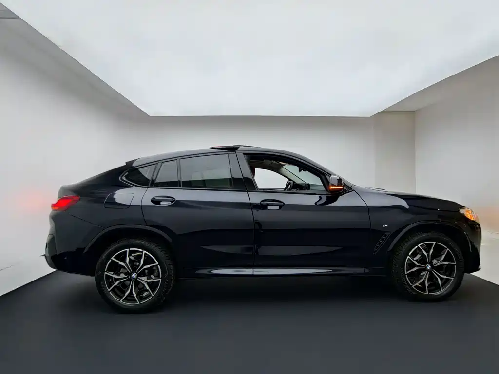 BMW X4 — миниатюра 8