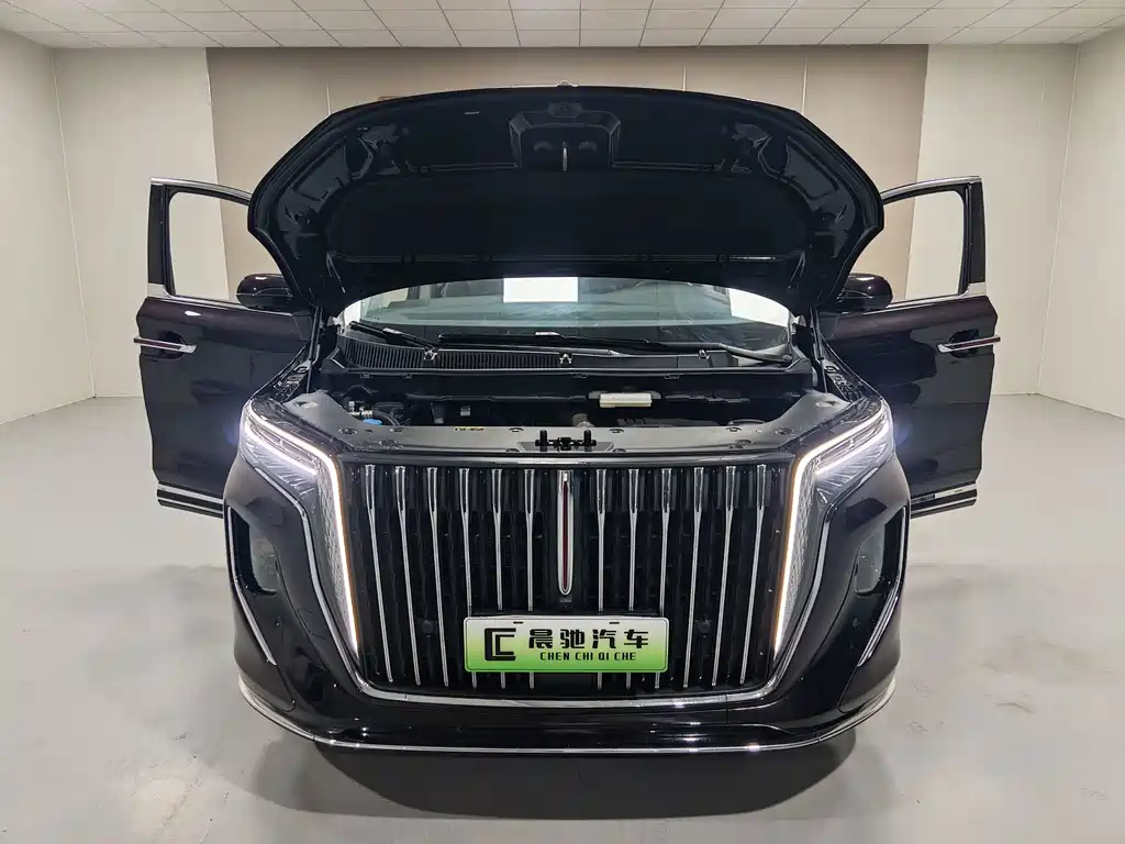 Hongqi Hongqi HQ9 — миниатюра 15