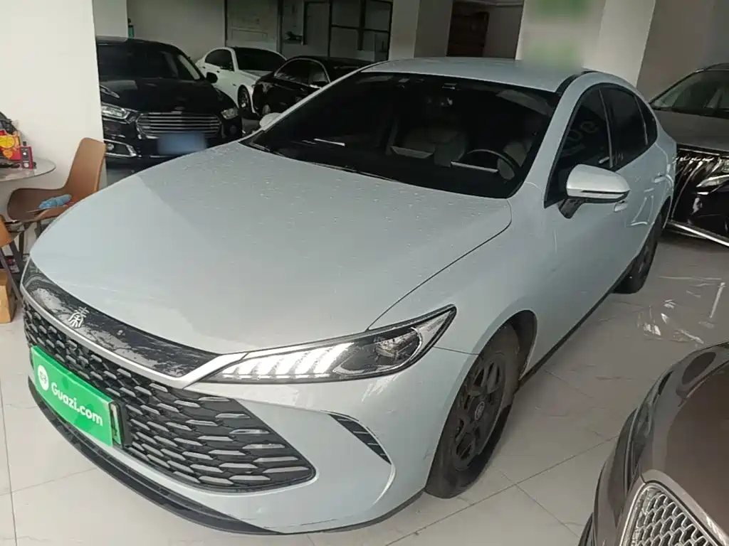 BYD Qin Plus PLUS 2025 DM-i Smart Drive 55KM Lead