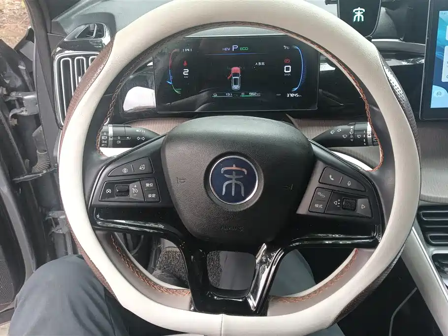 BYD SONGJIANG NEW ENERGY