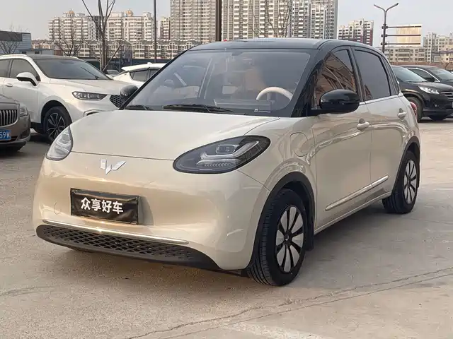 WULING WULING BINGGUO 2024