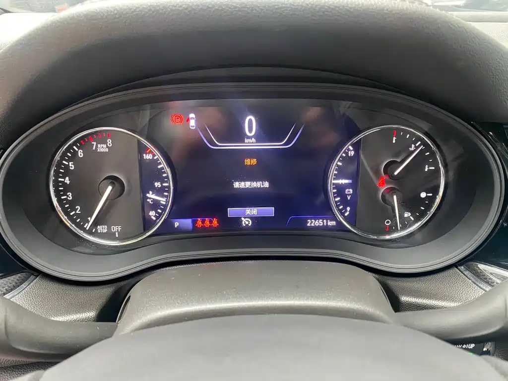 Buick Regal — миниатюра 13