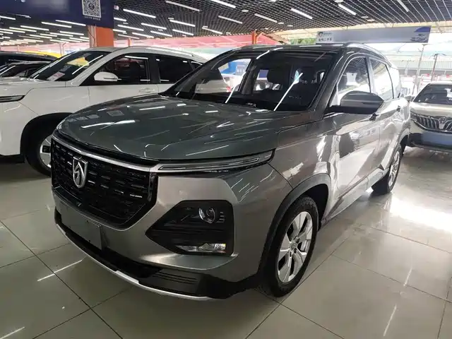 BAOJUN 530