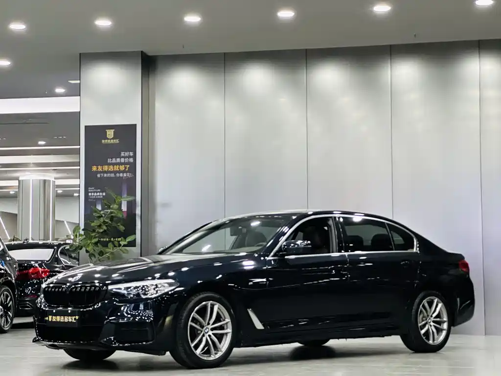 BMW 5 SERIES