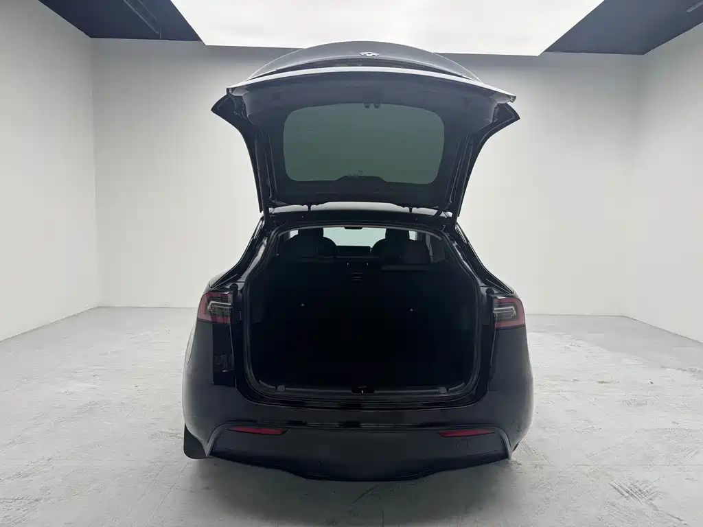 Tesla Model Y — миниатюра 18