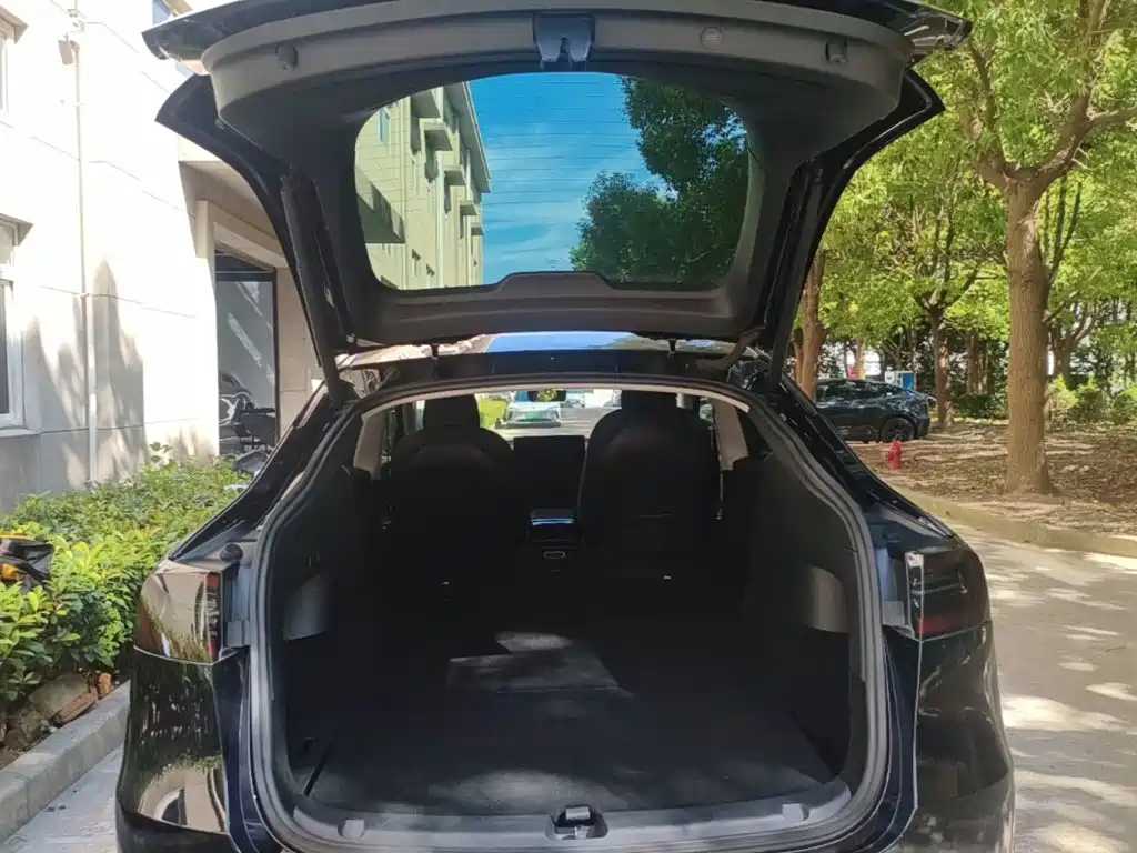 Tesla Model Y — миниатюра 19