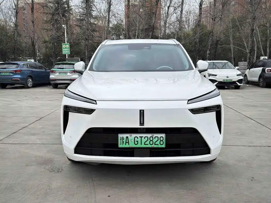 WEI PAI WEI BRAND BLUE MOUNTAIN