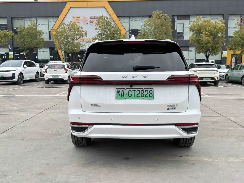 WEI PAI WEI BRAND BLUE MOUNTAIN