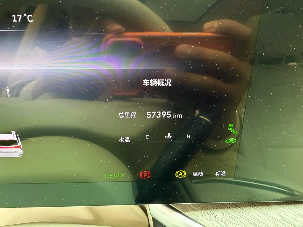 WEI PAI WEI BRAND BLUE MOUNTAIN