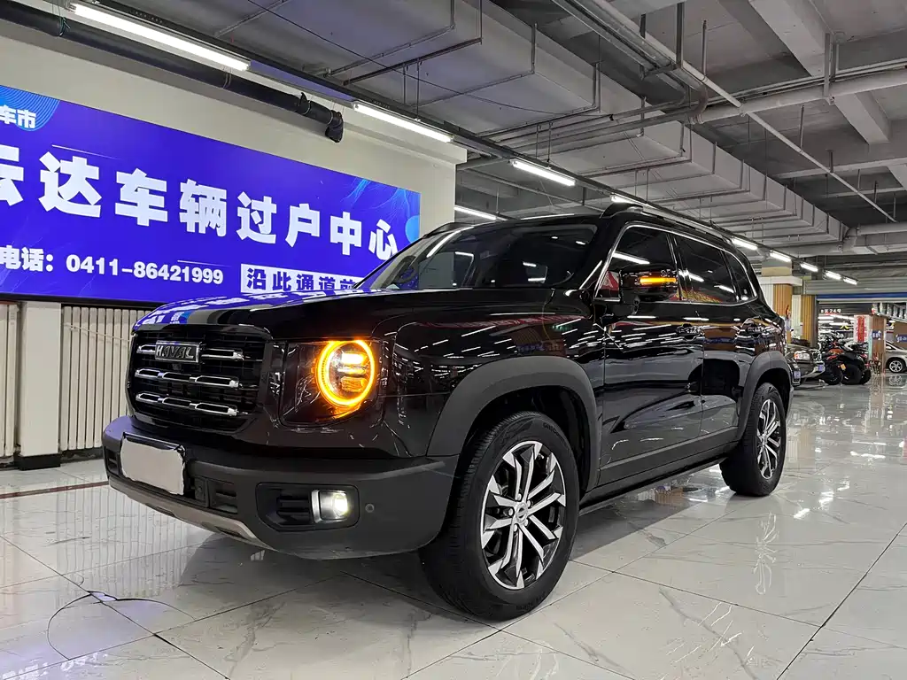 HAVAL BIG DOG