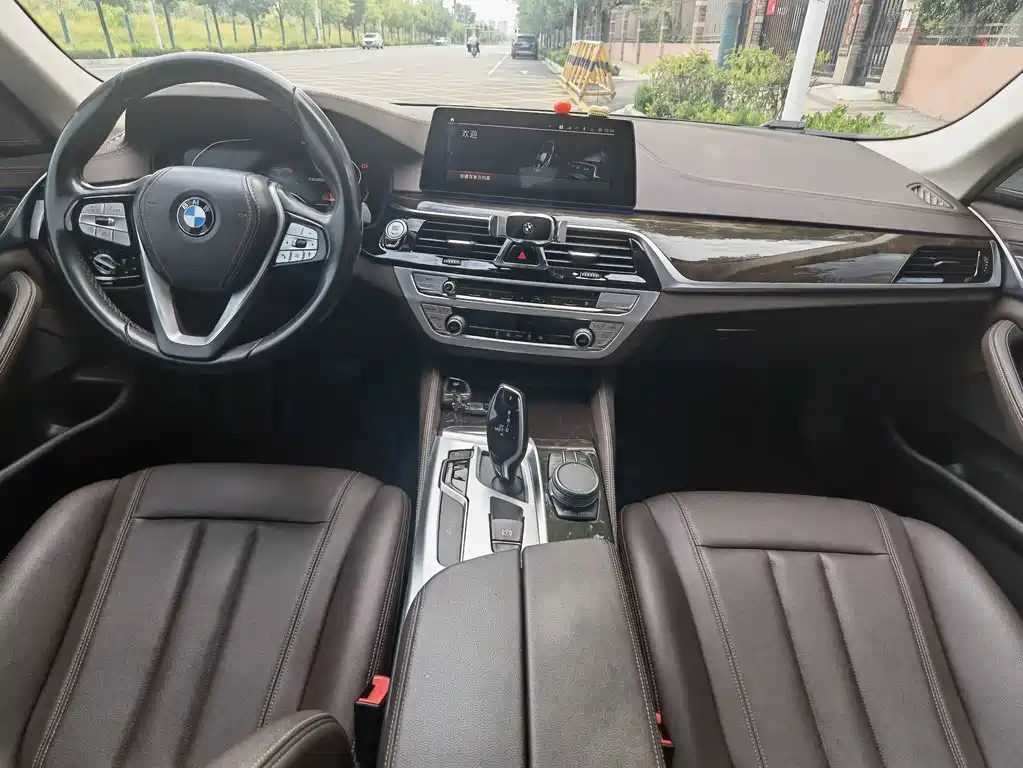 BMW 5 Series 5 2020 525Li Luxury
