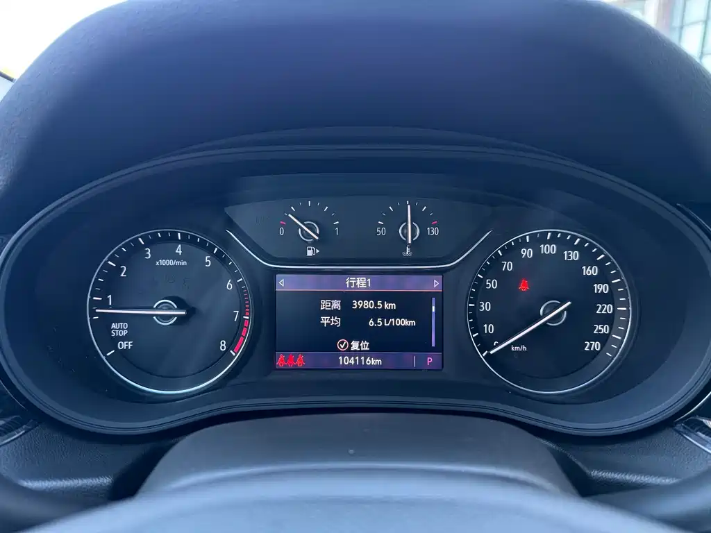 Buick Regal — миниатюра 15