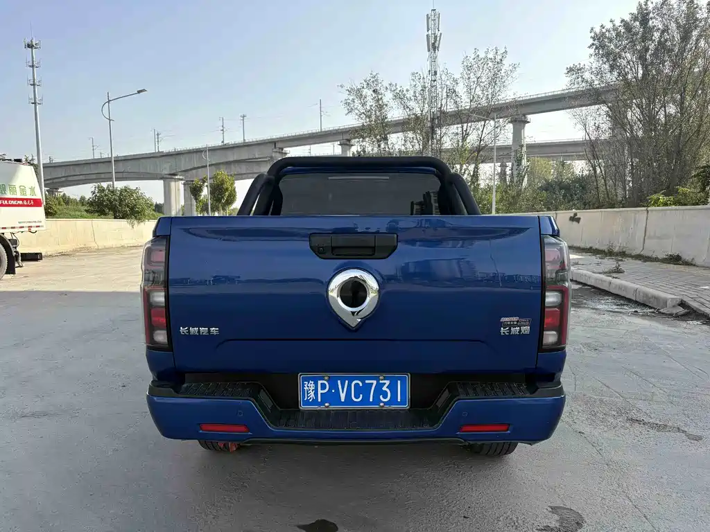 Great Wall Pao — миниатюра 6