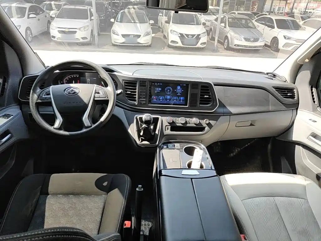 MAXUS V80 — миниатюра 10