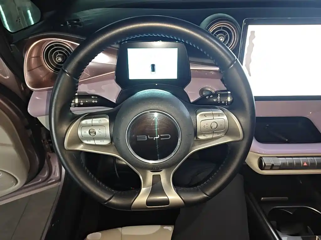 BYD Dolphin — миниатюра 11