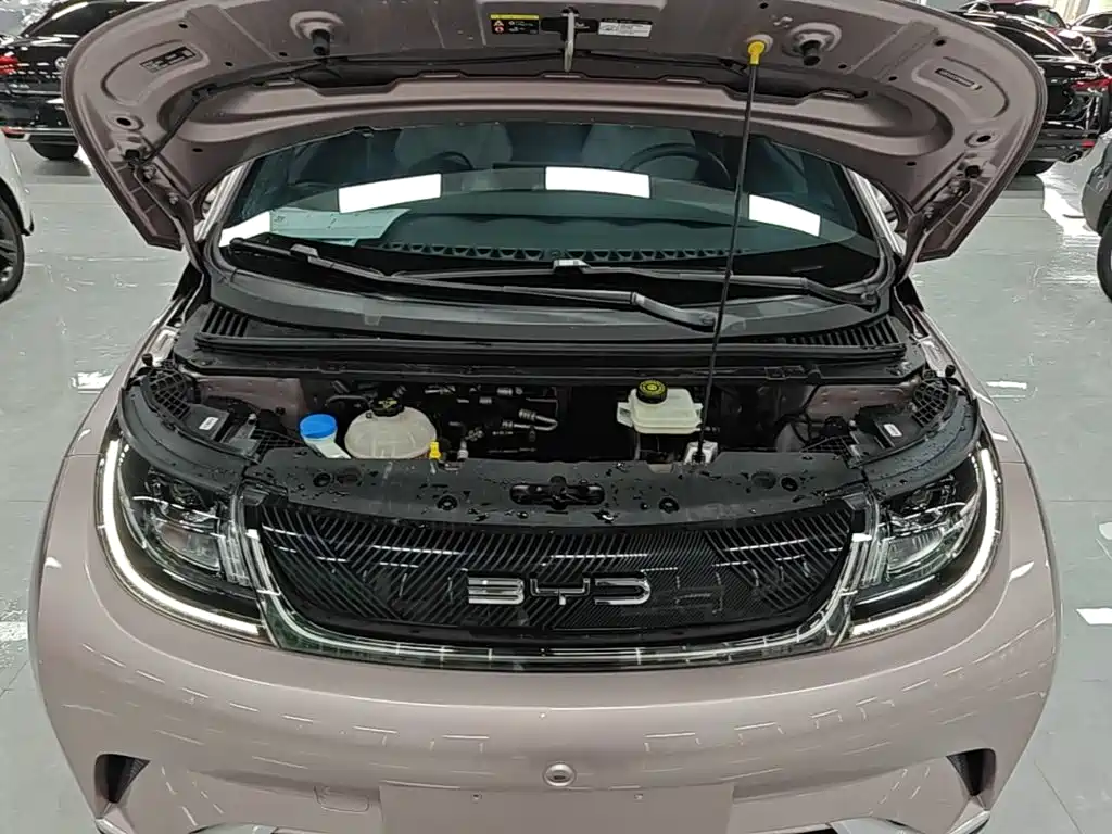 BYD Dolphin — миниатюра 20