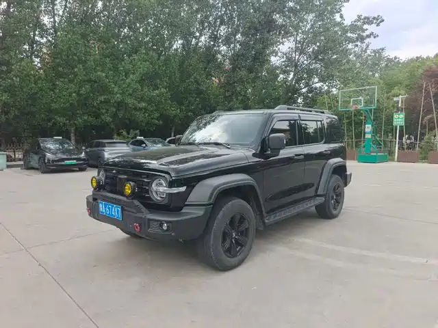 2024 TANK 300