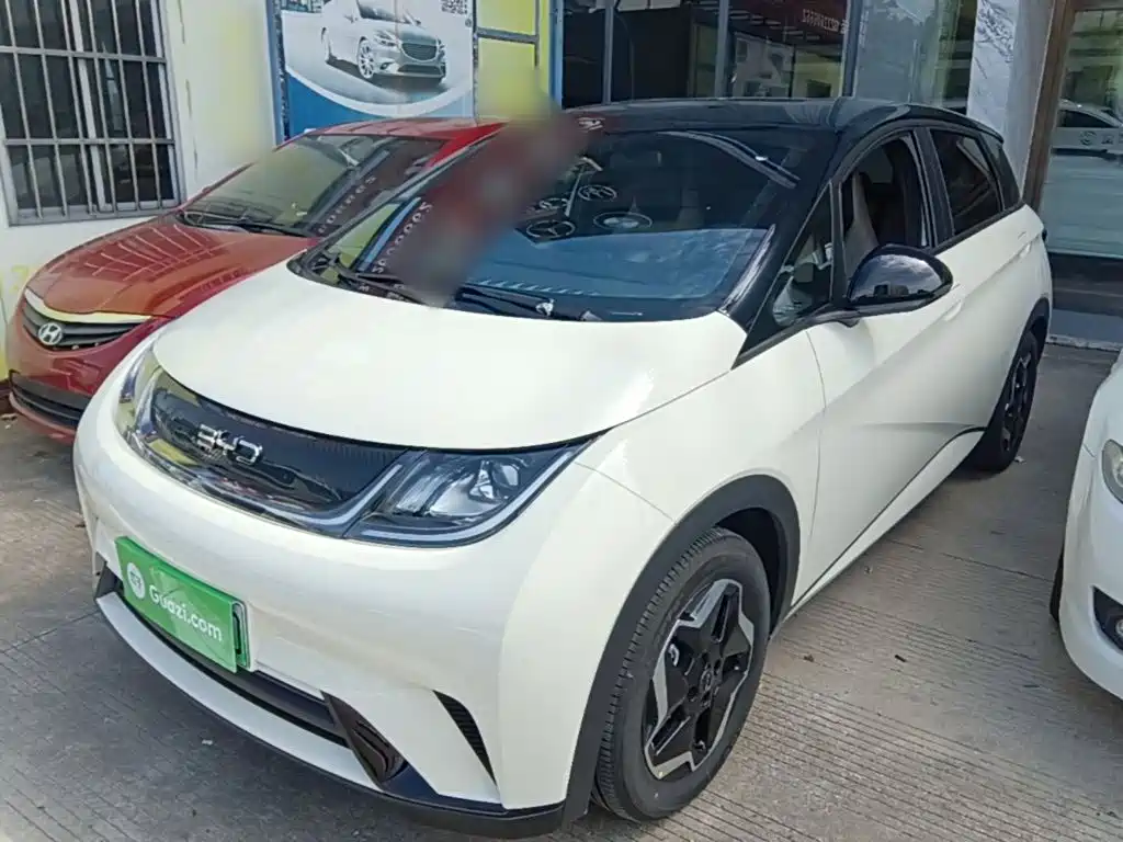BYD Dolphin — миниатюра 2