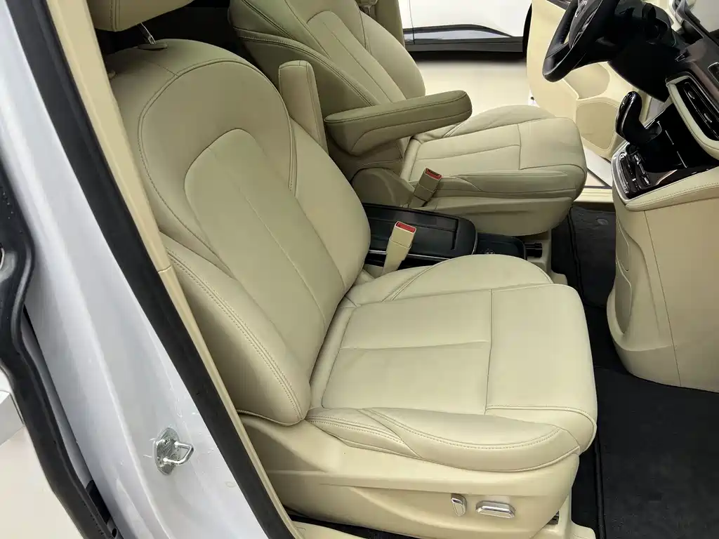 Buick GL8 — миниатюра 18