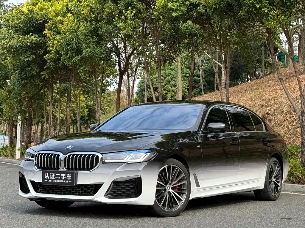 BMW 5 SERIES