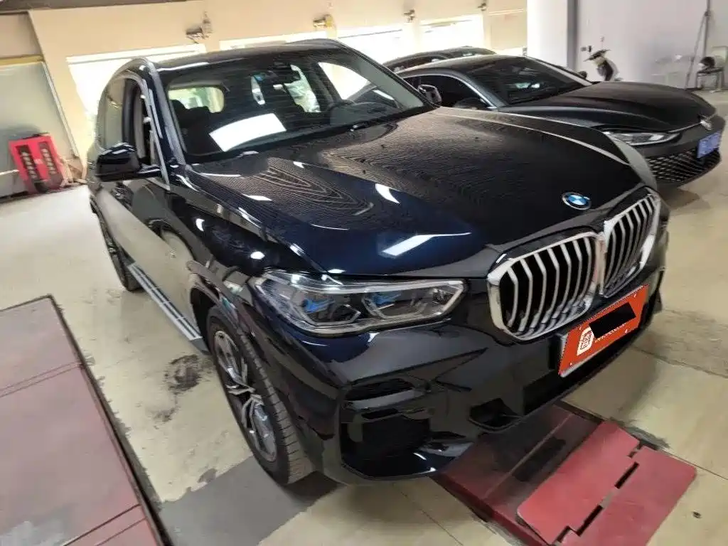 BMW X5 (Import) — миниатюра 2