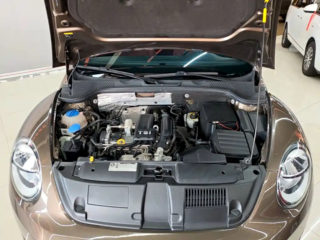 Volkswagen Beetle — миниатюра 20