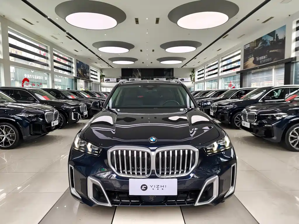 BMW X5 — миниатюра 2