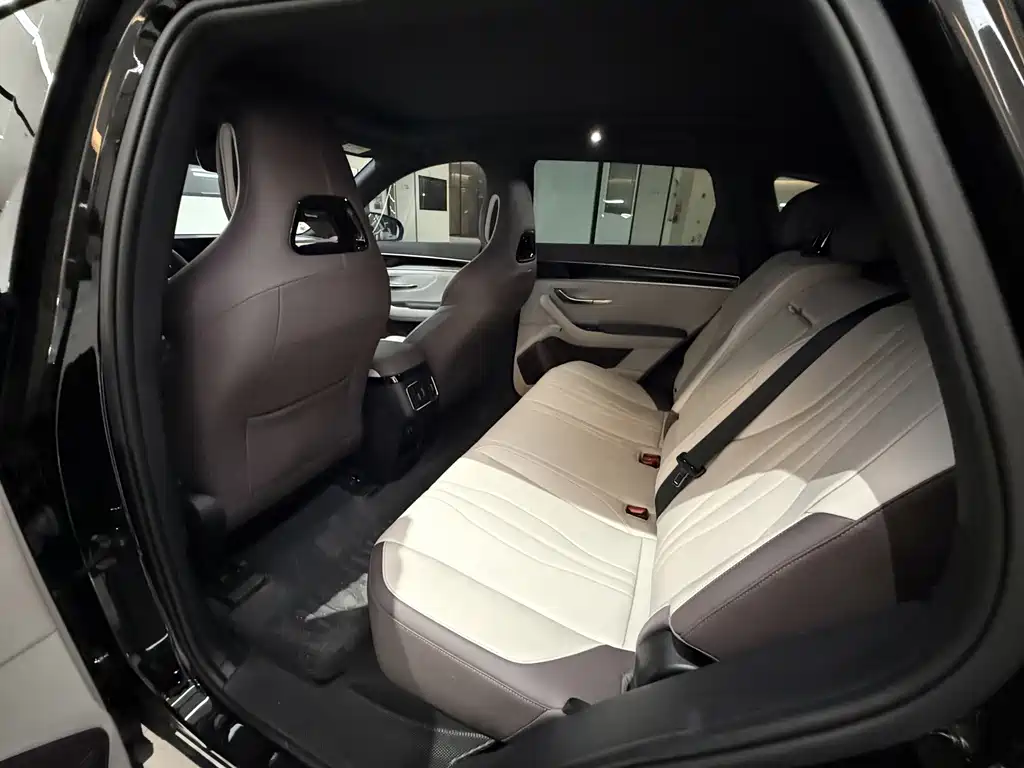 BYD PLUS New Energy — миниатюра 6