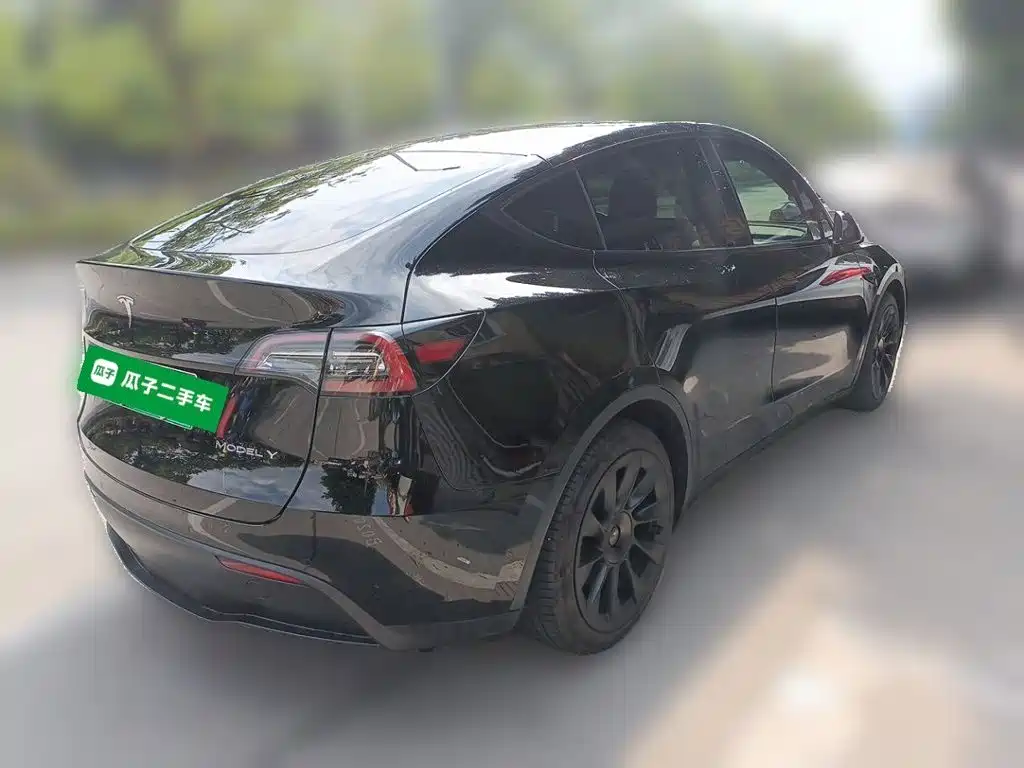 Tesla Model Y — миниатюра 4