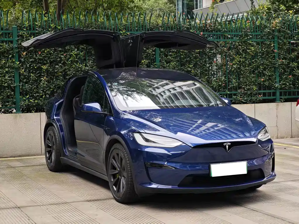 Tesla Model X — миниатюра 3