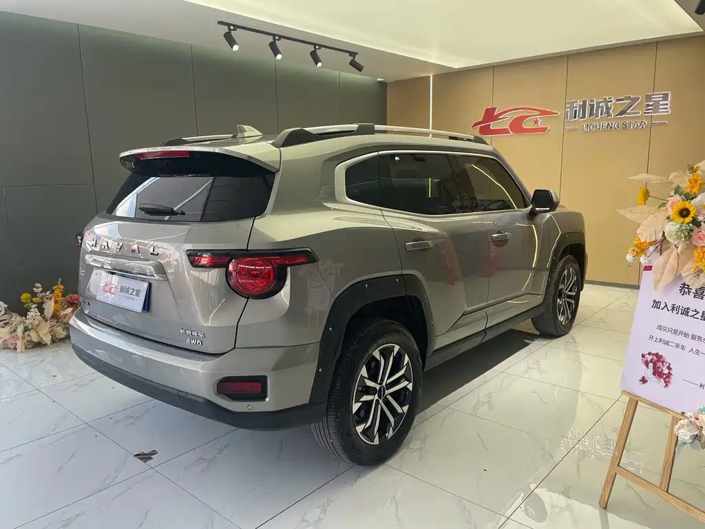 Haval Big Dog PLUS — миниатюра 9