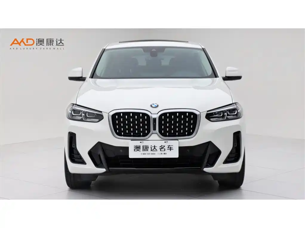 BMW X4 — миниатюра 2