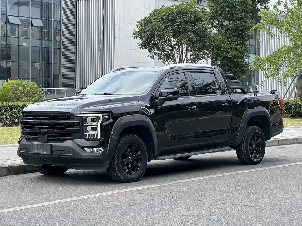 Foton Foton Mars 2024