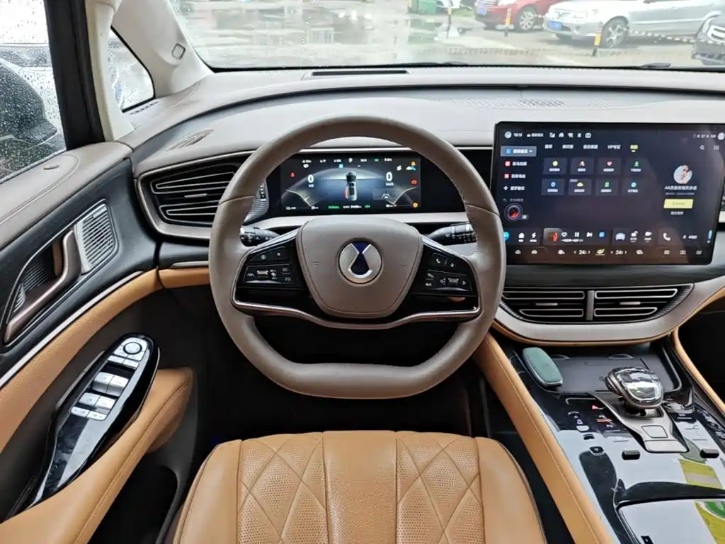 Denza Denza D9 — миниатюра 11