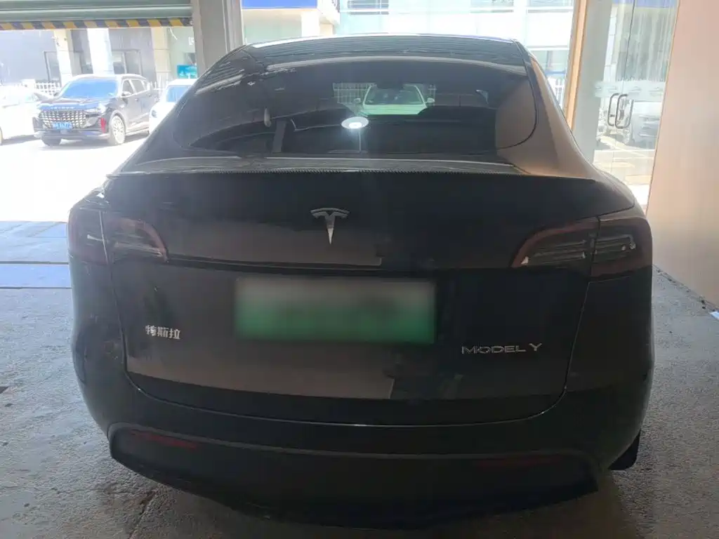 Tesla Model Y — миниатюра 6