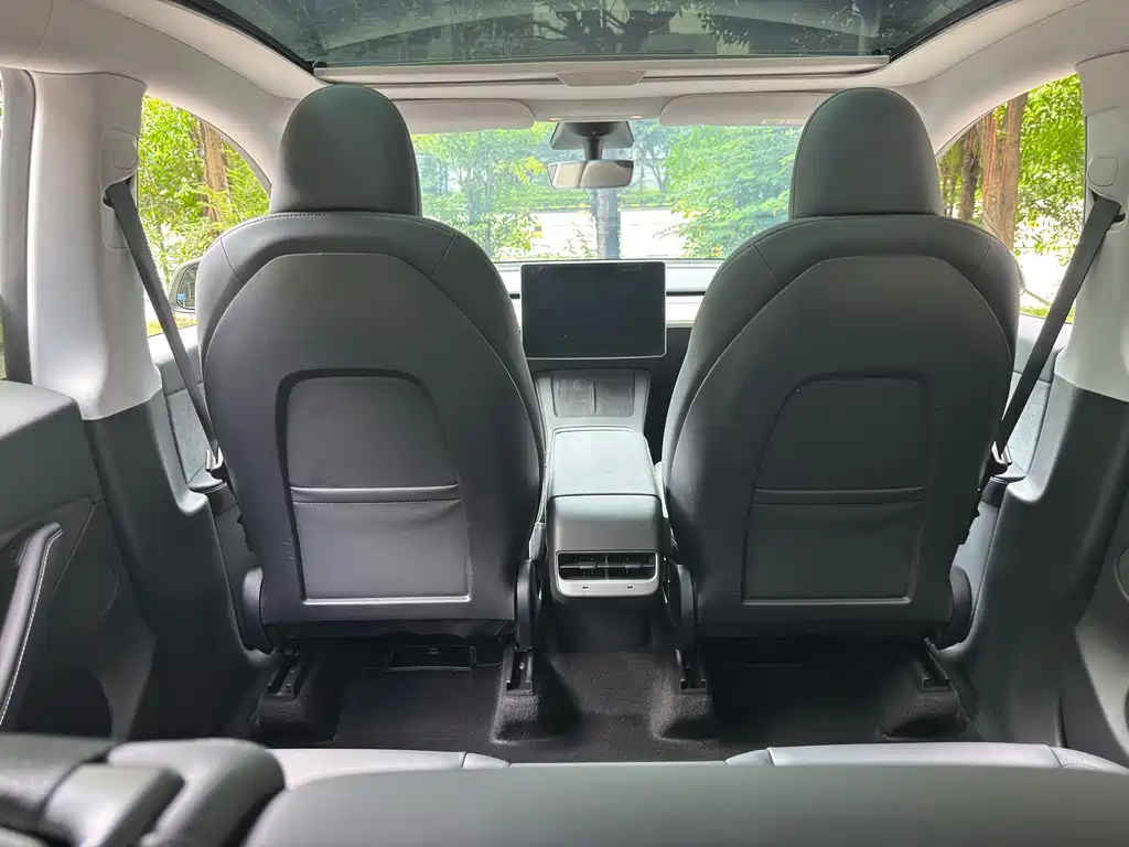 Tesla Model Y — миниатюра 11