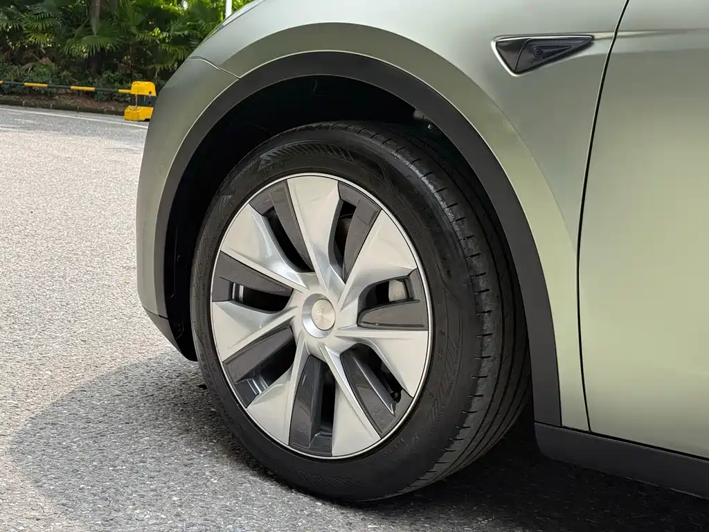 Tesla Model Y — миниатюра 15