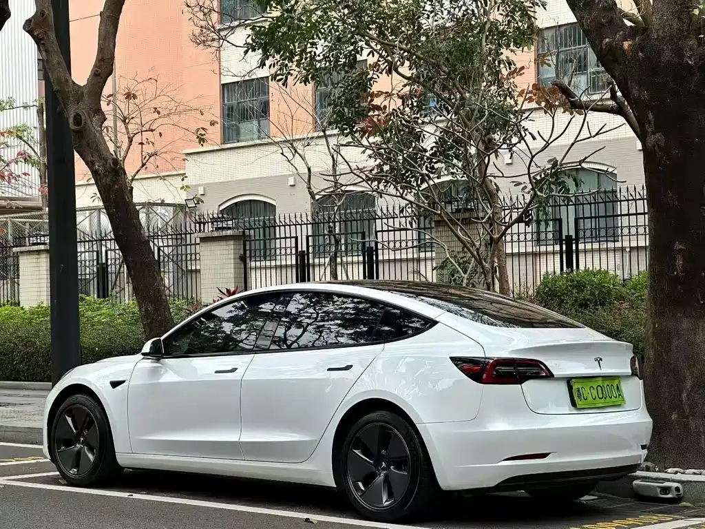 Tesla Model 3 — миниатюра 3