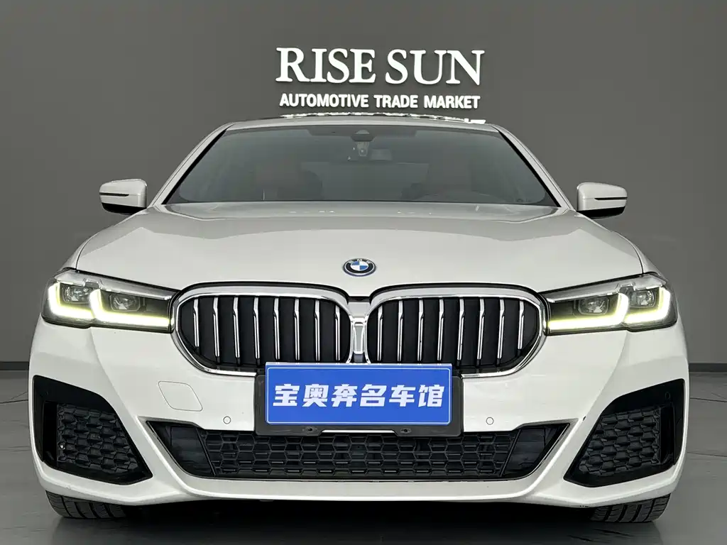 BMW 5 Series New Energy — миниатюра 2