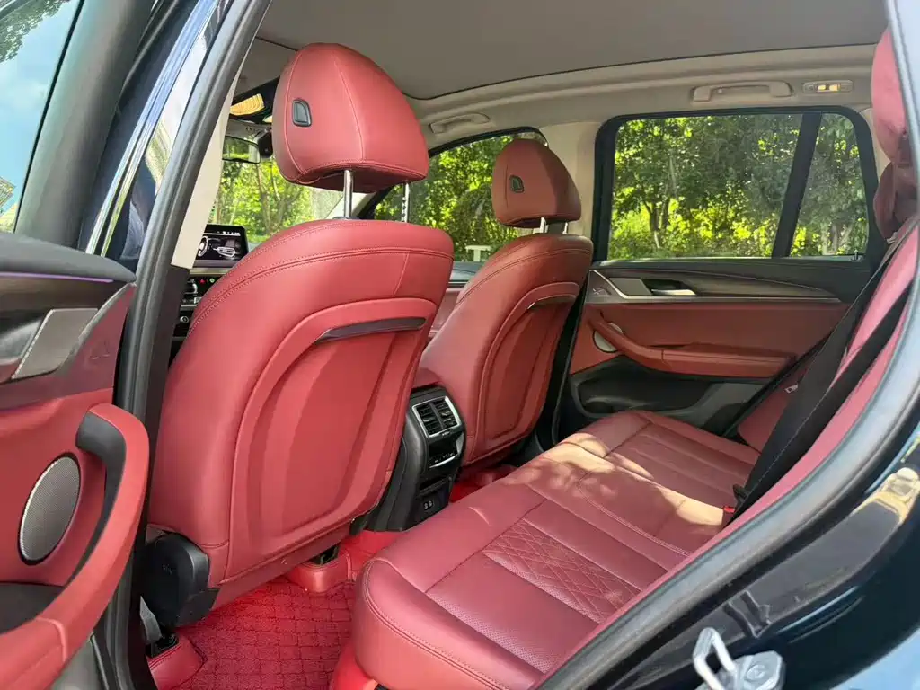 BMW X3 2023 xDrive30i Lead M