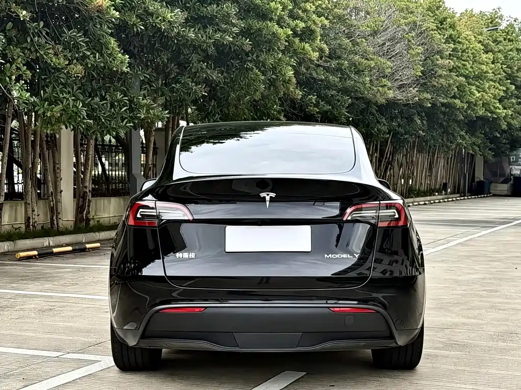 Tesla Model Y — миниатюра 9