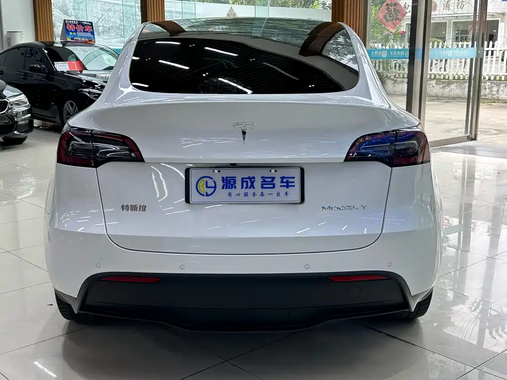 Tesla Model Y — миниатюра 7