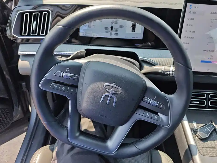 BYD Pro New Energy — миниатюра 15