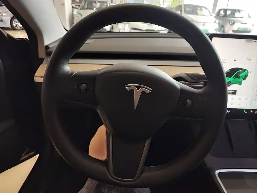 Tesla Model 3 — миниатюра 11
