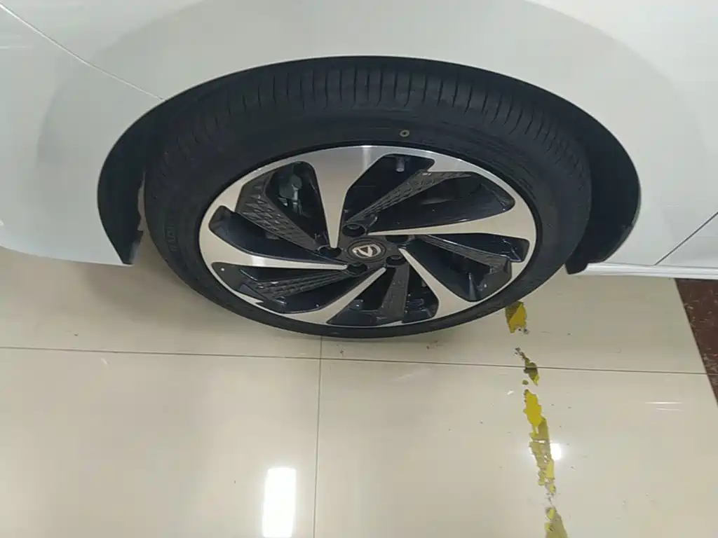 Changan Ruicheng PLUS — миниатюра 23